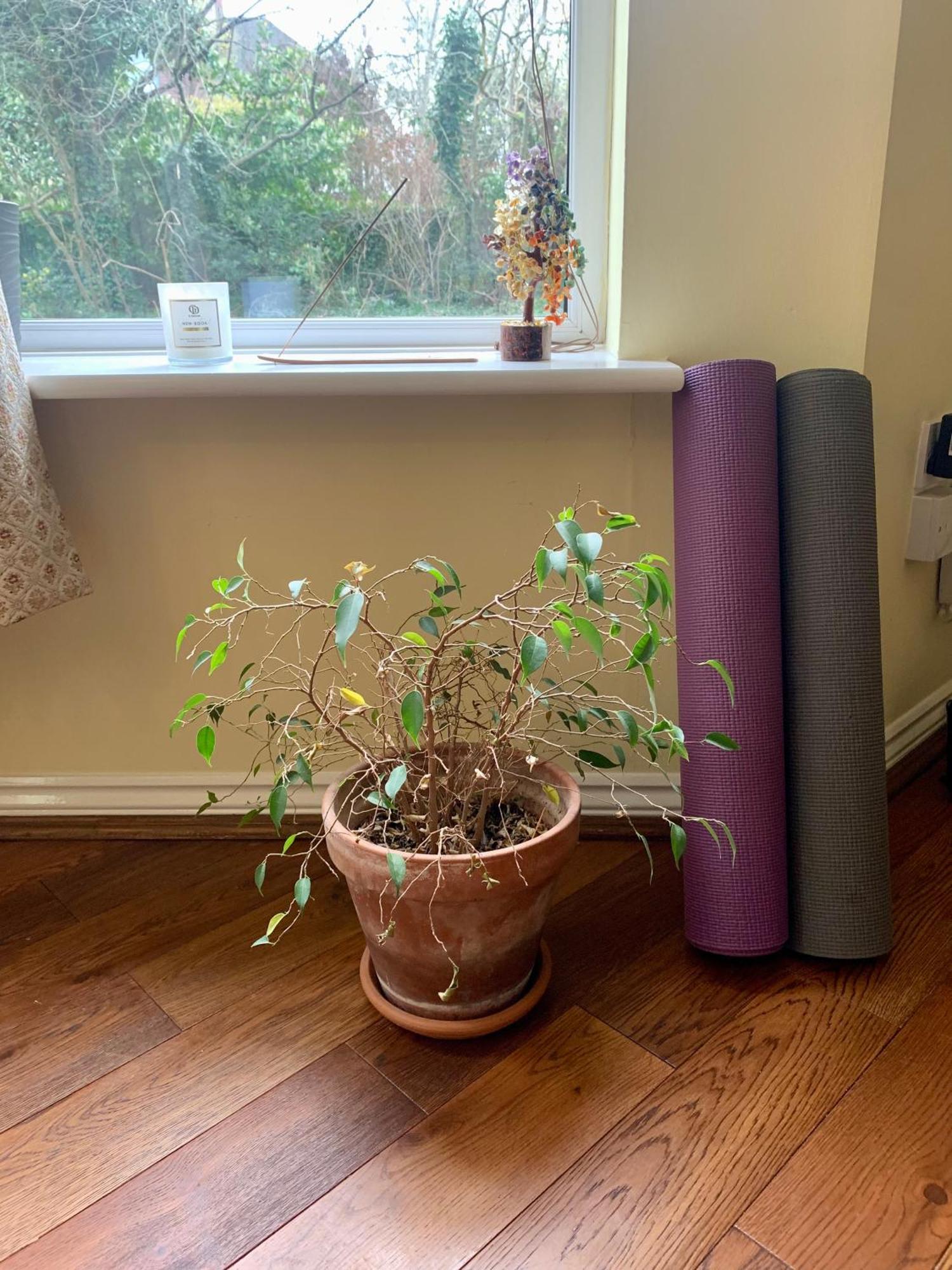 Peaceful Garden View Apt. Close To Apartment